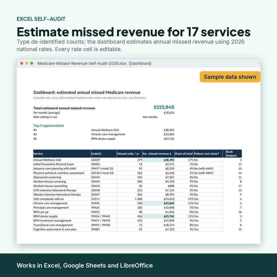 The workbook dashboard with sample data: estimated annual missed revenue, top 3 opportunities, and a table of 17 services